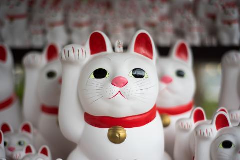 O Gato da Sorte Japonês